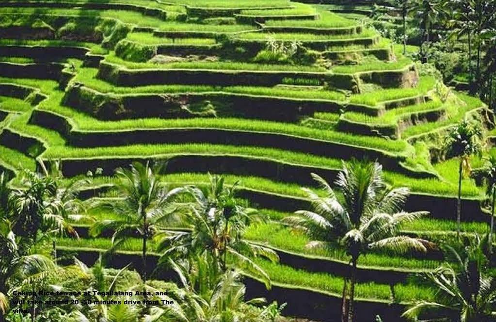 Private Villa Wayan Ubud  Ngoại thất bức ảnh