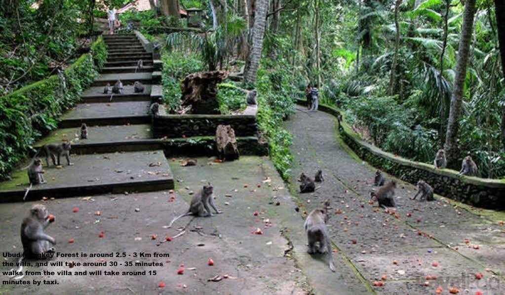 Private Villa Wayan Ubud  Ngoại thất bức ảnh